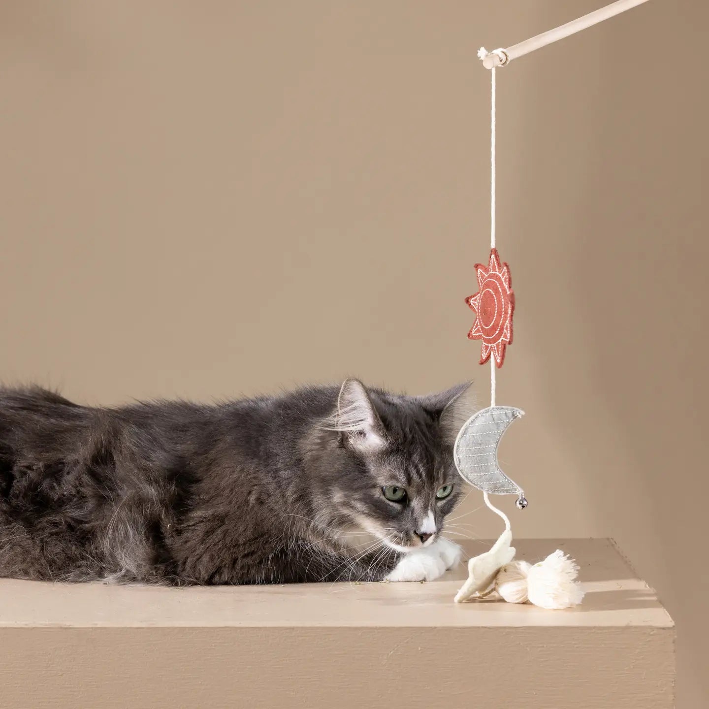 Happy Skies Multi Sensory Teaser Cat Toy