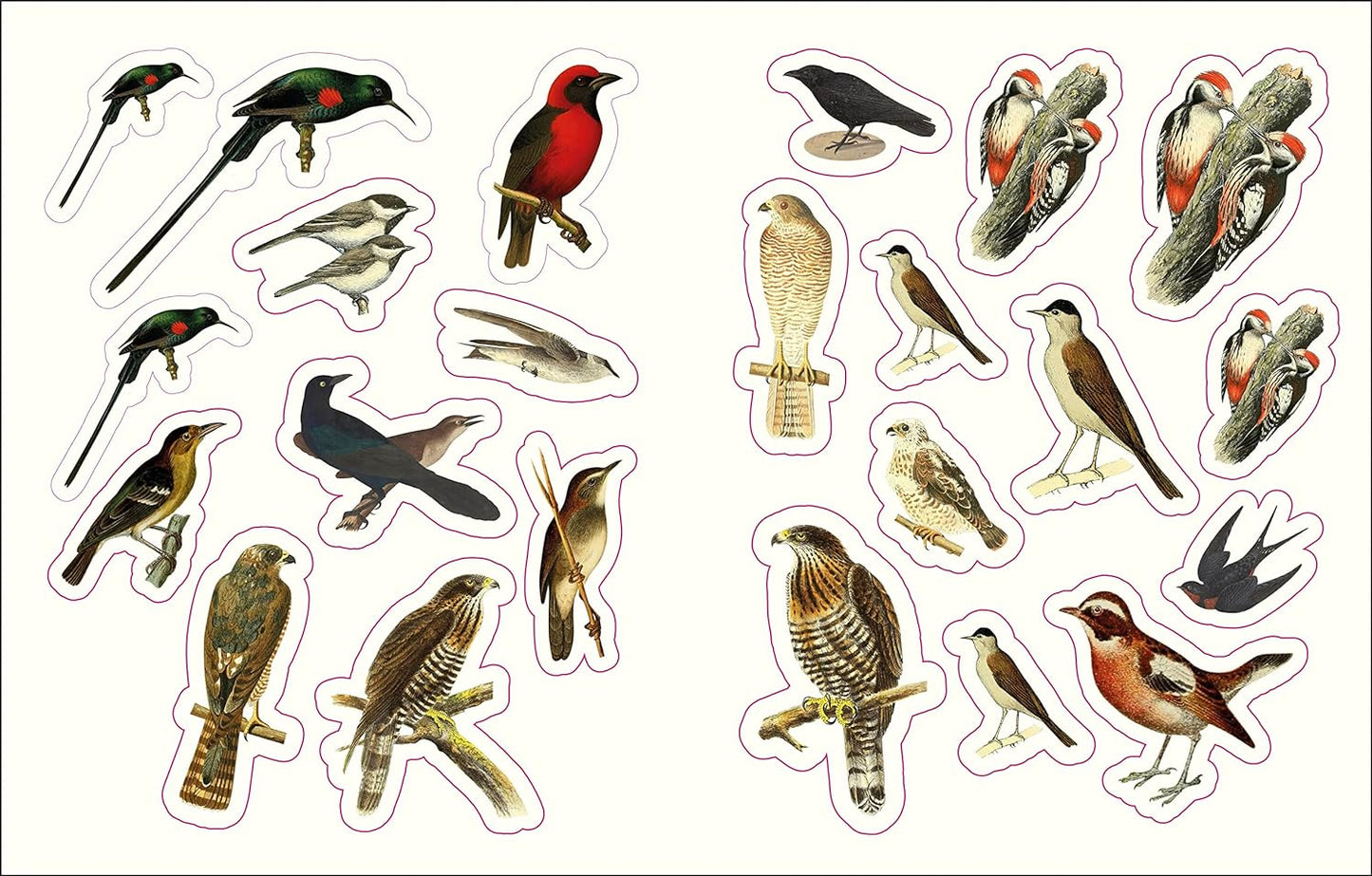 The Forests, Fairies, & Fungi Sticker Anthology