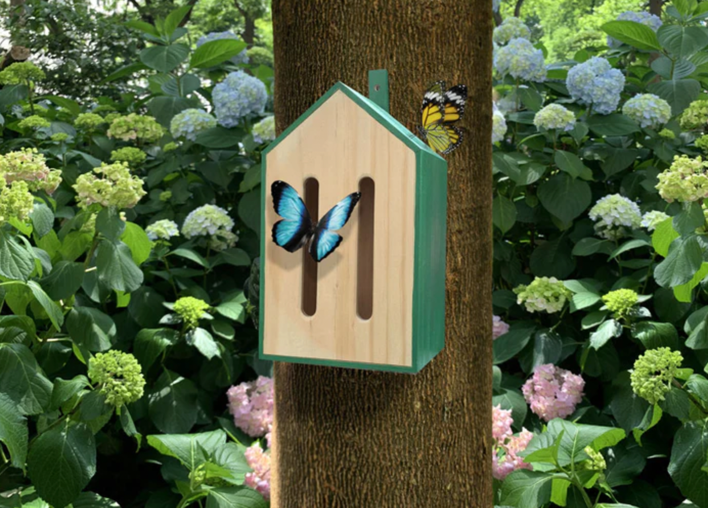 Butterfly House