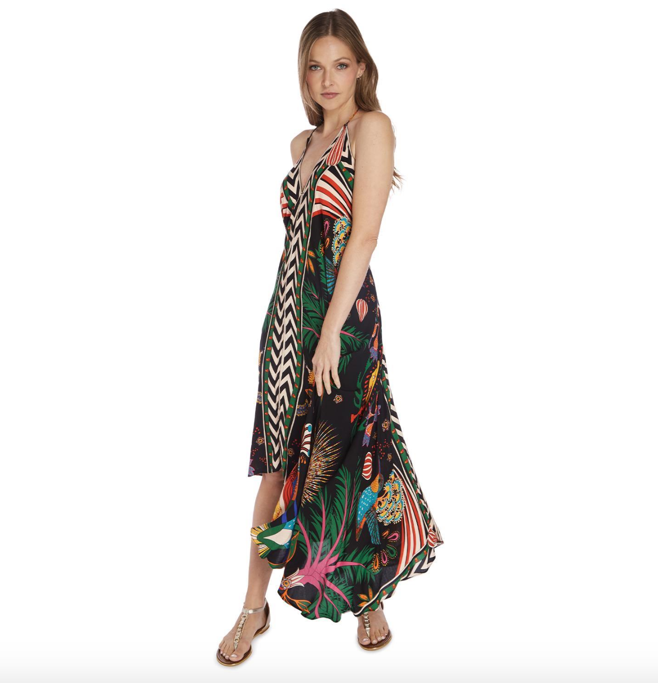 Wild Paris India Print Dress