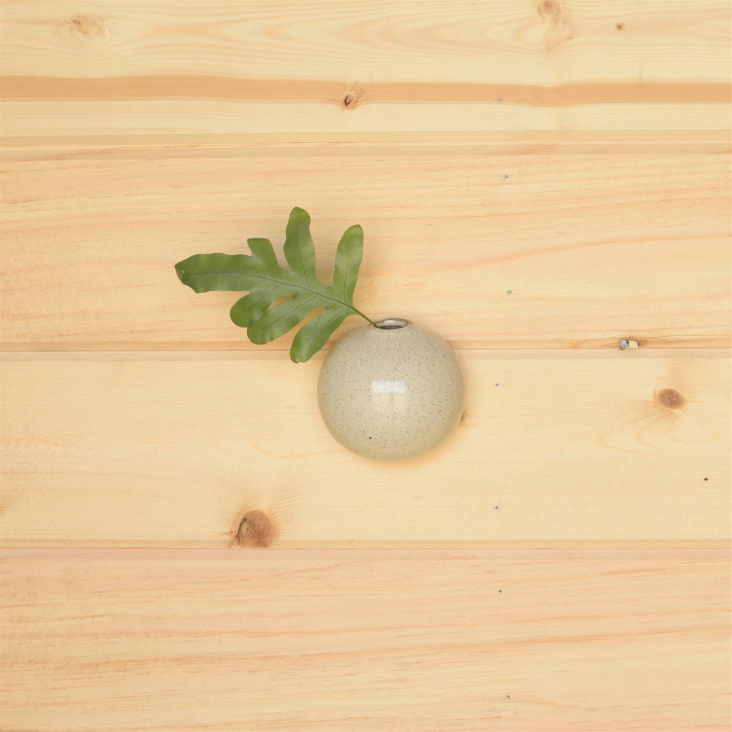 Logan Wall Bubble