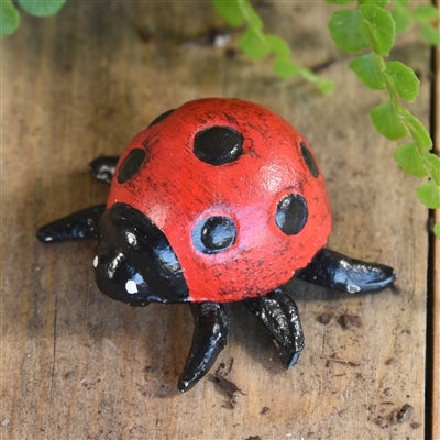 Cast Iron Ladybug