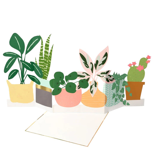 Potted Plant Fold Out Card