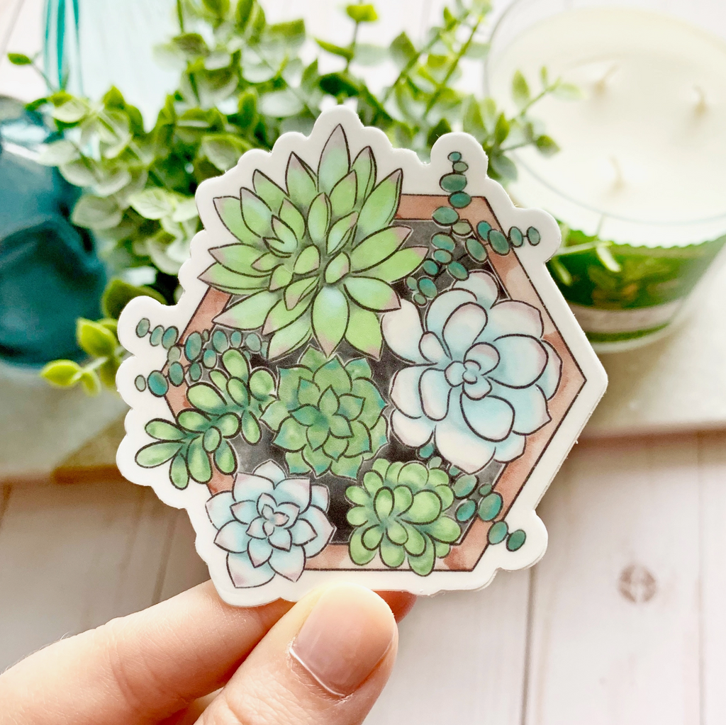 Watercolor Succulent Sticker