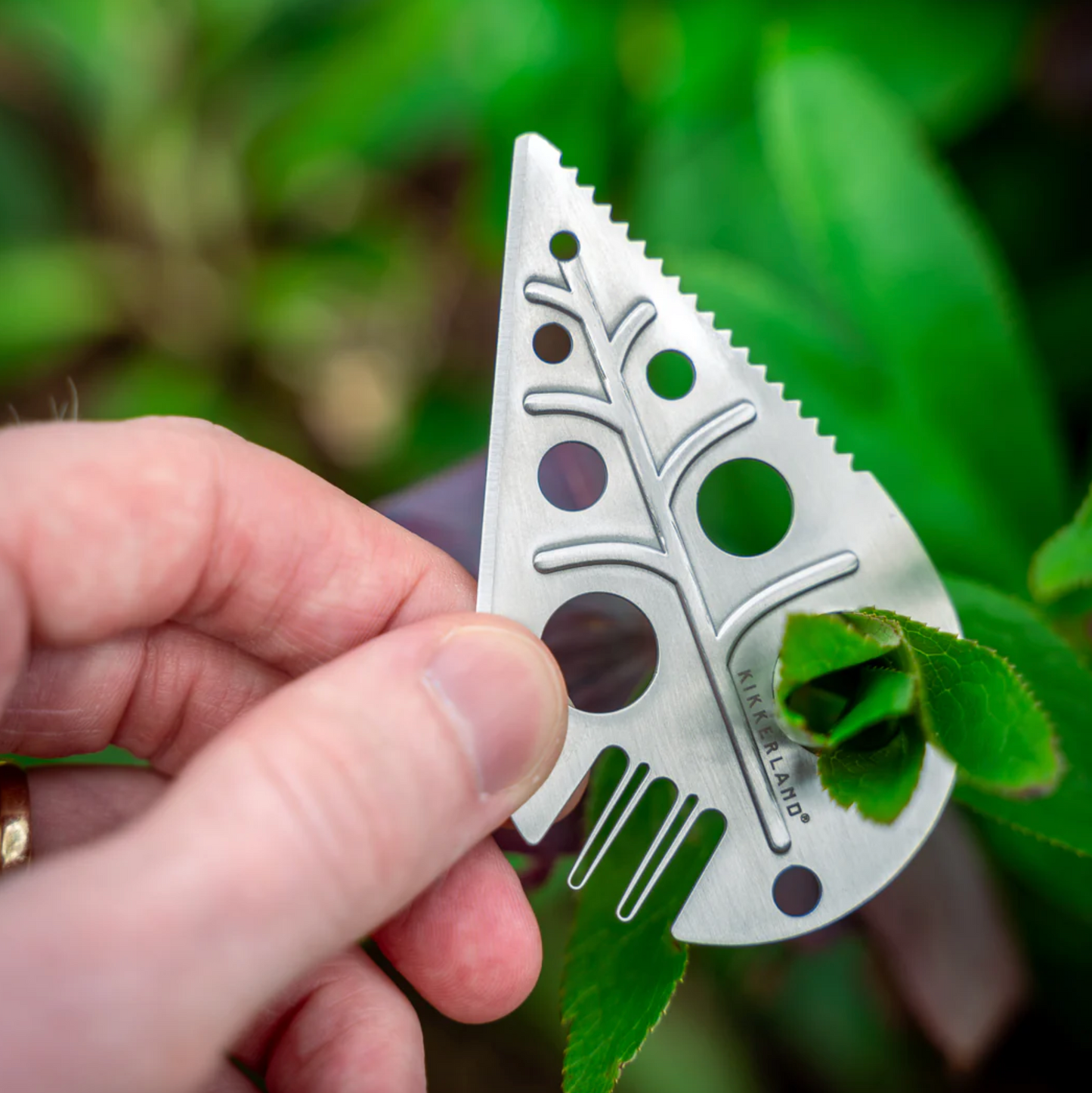 Leaf Foraging Tool