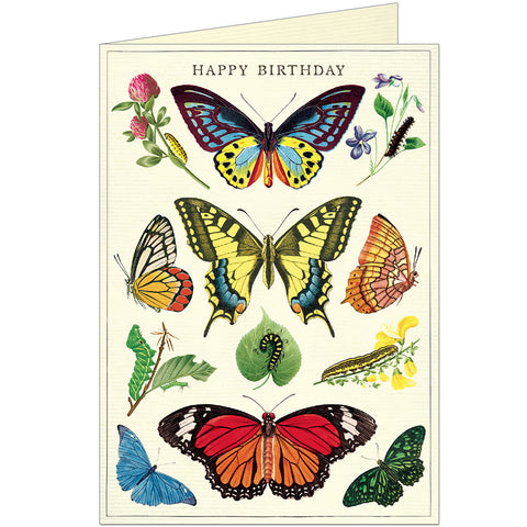 Vintage Butterflies Happy Birthday Card