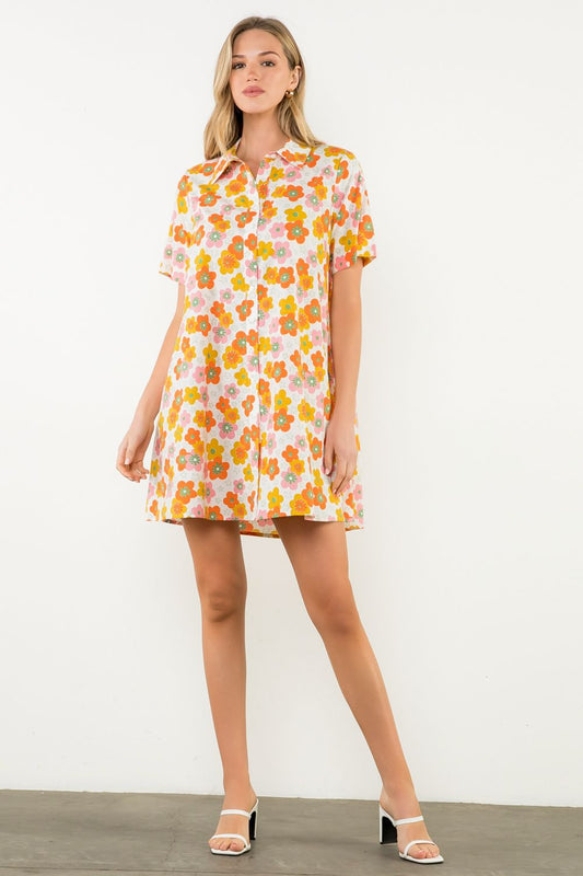 Silvy Button Down Swing Dress