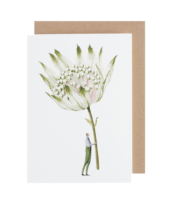 Astrantia Greeting Card