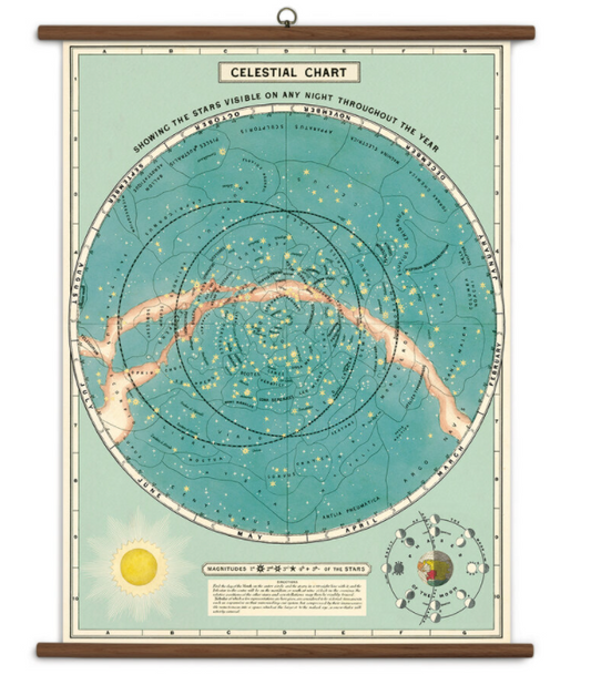 Vintage School Charts